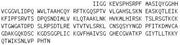 Recombinant Granzyme K (GZMK), RPU41735