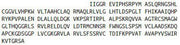 Recombinant Granzyme M (GZMM), RPU41736