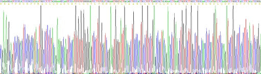 Recombinant Human Granzyme M (GZMM)