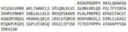 Recombinant Granzyme M (GZMM), RPU41737