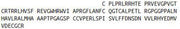 Recombinant Growth Differentiation Factor 1 (GDF1), RPU41754