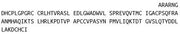 Recombinant Growth Differentiation Factor 15 (GDF15), RPU41760