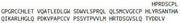 Recombinant Growth Differentiation Factor 15 (GDF15), RPU41761