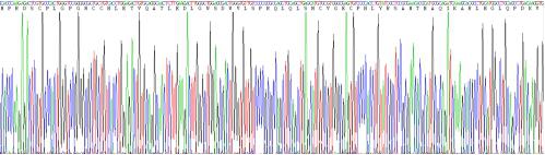 Recombinant Mouse Growth Differentiation Factor 15 (GDF15)