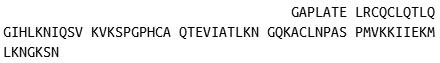Recombinant Chemokine (C-X-C Motif) Ligand 2 (CXCL2), RPU41779
