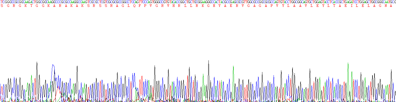 Figure. Gene Sequencing (Extract)