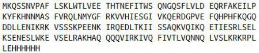 Recombinant Heat Shock Transcription Factor 2 (HSF2), RPU41839