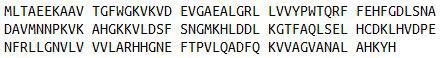Recombinant Hemoglobin Beta (HBb), RPU41853