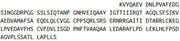 Recombinant Hemojuvelin (HJV), RPU41857