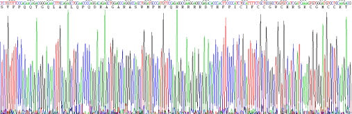 Recombinant Human Hepcidin (Hepc)