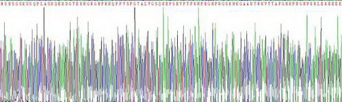 Recombinant Mouse High Mobility Group AT Hook Protein 1 (HMGA1)