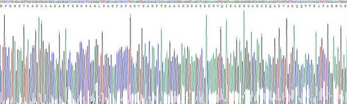 Recombinant Mouse High Mobility Group Nucleosome Binding Domain Protein 1 (HMGN1)