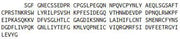 Recombinant Homogentisate-1,2-Dioxygenase (HGD), RPU41940