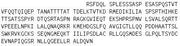 Recombinant Hypoxia Inducible Factor 1 Alpha (HIF1a), RPU41957