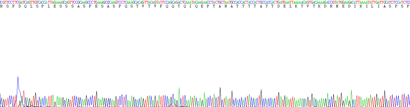 Figure. Gene Sequencing (Extract)
