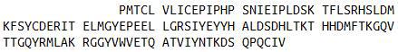 Recombinant Hypoxia Inducible Factor 1 Alpha (HIF1a), RPU41960