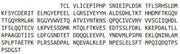 Recombinant Hypoxia Inducible Factor 1 Alpha (HIF1a), RPU41967