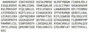 Recombinant Indoleamine-2,3-Dioxygenase (IDO), RPU41981