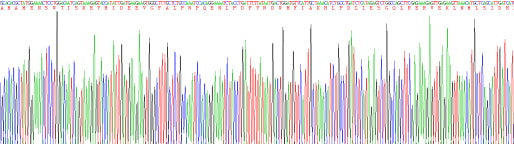 Recombinant Human Indoleamine-2,3-Dioxygenase (IDO)