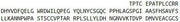 Recombinant Inhibin Beta E (INHbE), RPU42008
