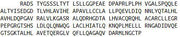 Recombinant Inhibitory Subunit Of NF Kappa B Epsilon (IkBe), RPU42016