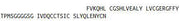 Recombinant Insulin (INS), RPU42019