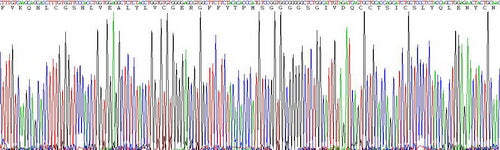 Recombinant Mouse Insulin (INS)