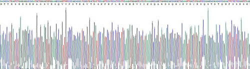 Recombinant Rat Insulin Like Growth Factor Binding Protein 3 (IGFBP3)