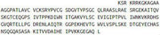 Recombinant Insulin Like Growth Factor Binding Protein 7 (IGFBP7), RPU42056