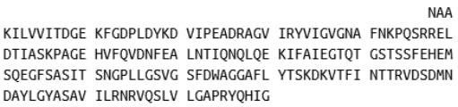 Recombinant Integrin Alpha M (CD11b), RPU42074