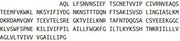 Recombinant Integrin Associated Protein (IAP), RPU42078