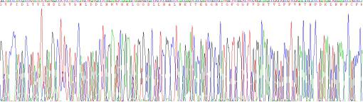 Recombinant Human Integrin Beta 2 (CD18)