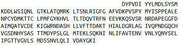 Recombinant Integrin Beta 3 (ITGb3), RPU42085