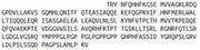Recombinant Inter Alpha-Globulin Inhibitor H4 (ITIH4), RPU42095