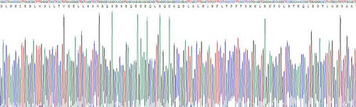 Recombinant Mouse Inter Alpha-Globulin Inhibitor H5 (ITIH5)