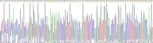 Recombinant Dog Interferon Alpha (IFNa)