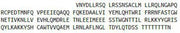 Recombinant Interferon Beta (IFNb), RPU42130