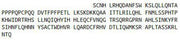 Recombinant Interferon Beta (IFNb), RPU42131