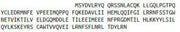 Recombinant Interferon Beta (IFNb), RPU42133