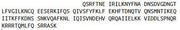 Recombinant Interferon Gamma (IFNg), RPU42140