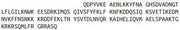 Recombinant Interferon Gamma (IFNg), RPU42141