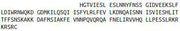 Recombinant Interferon Gamma (IFNg), RPU42142
