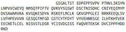 Recombinant Interferon Gamma Receptor 1 (IFNgR1), RPU42155
