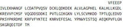 Recombinant Interleukin 1 Beta (IL1b), RPU42173