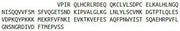 Recombinant Interleukin 1 Beta (IL1b), RPU42174