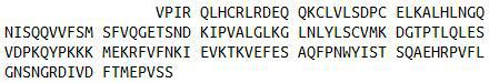 Recombinant Interleukin 1 Beta (IL1b), RPU42174