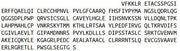 Recombinant Interleukin 1 Receptor Associated Kinase 2 (IRAK2), RPU42188