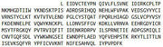 Recombinant Interleukin 1 Receptor Type I (IL1R1), RPU42201