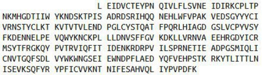 Recombinant Interleukin 1 Receptor Type I (IL1R1), RPU42201