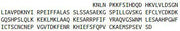 Recombinant Interleukin 1 Zeta (IL1z), RPU42202